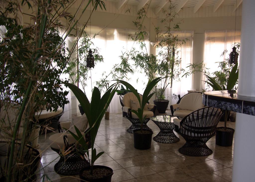 Evergreen Hotel Roseau Exteriér fotografie
